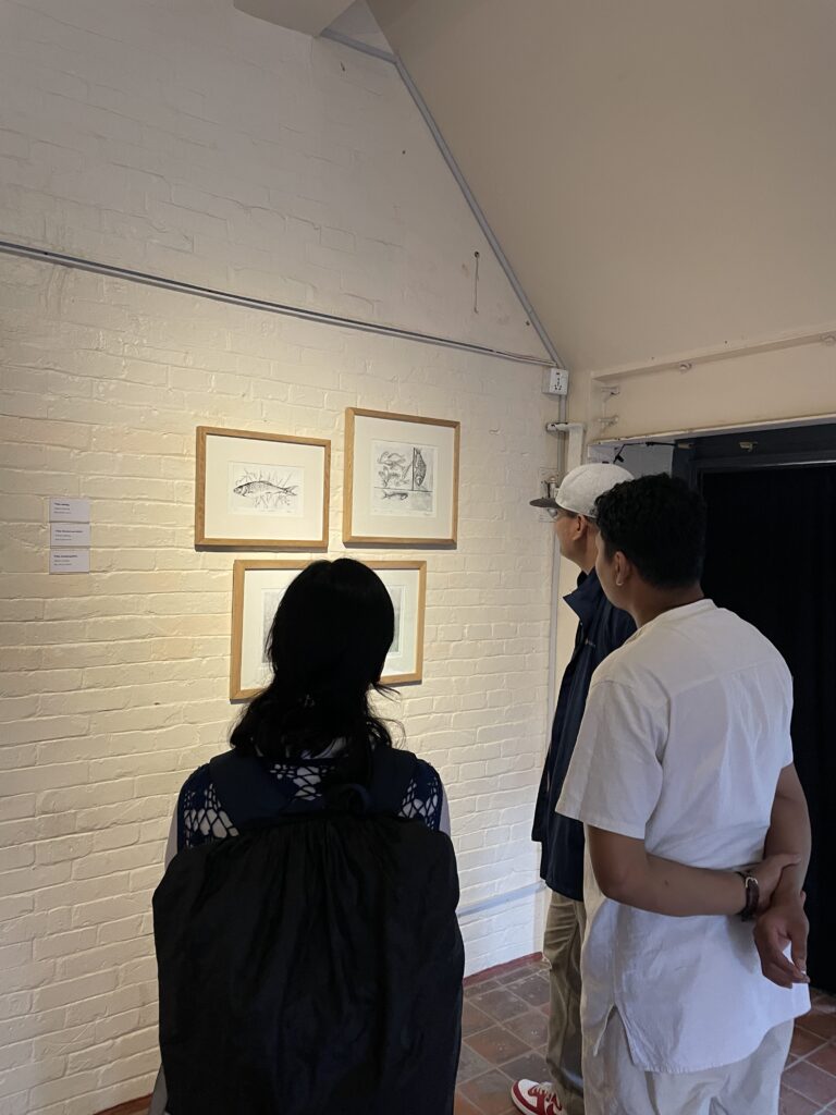 Image 3617