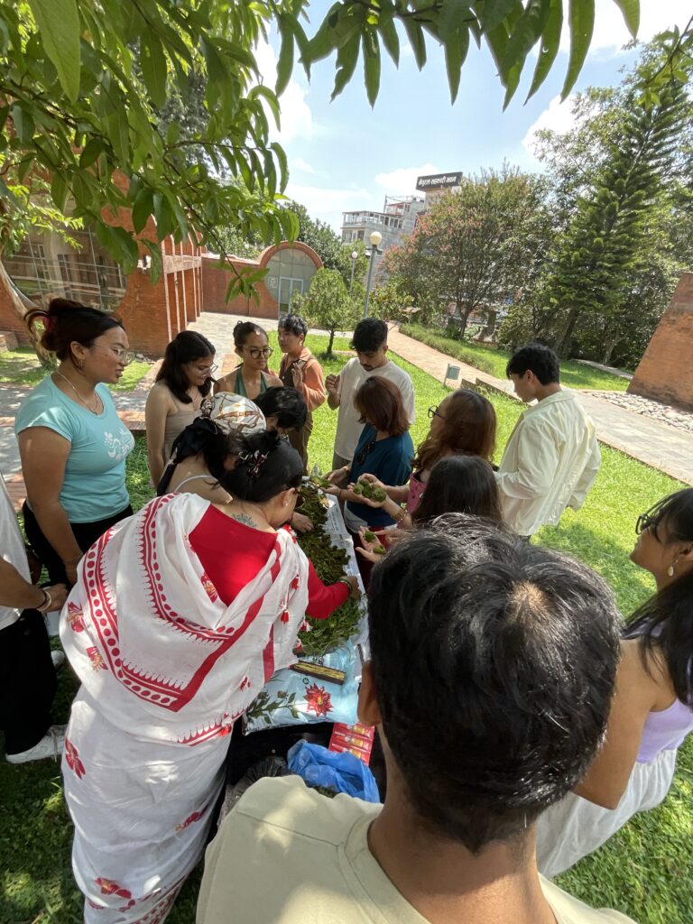 Image 3911