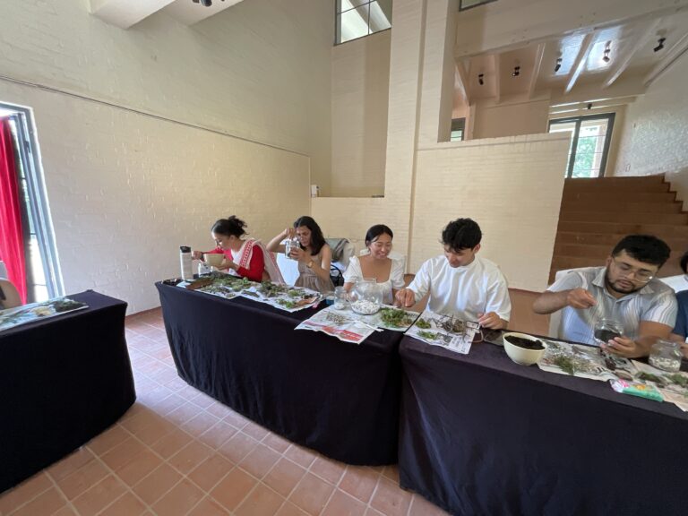 Image 3902